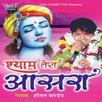 Sheetal Pandey Songs MP3 Download